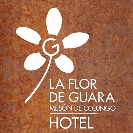 Hotel Meson De Colungo Esterno foto